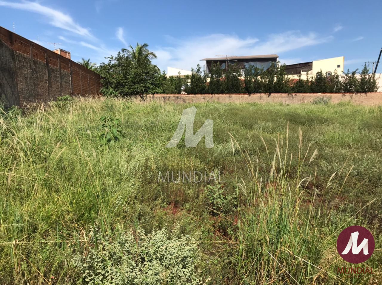 Terreno/Lote — foto 4