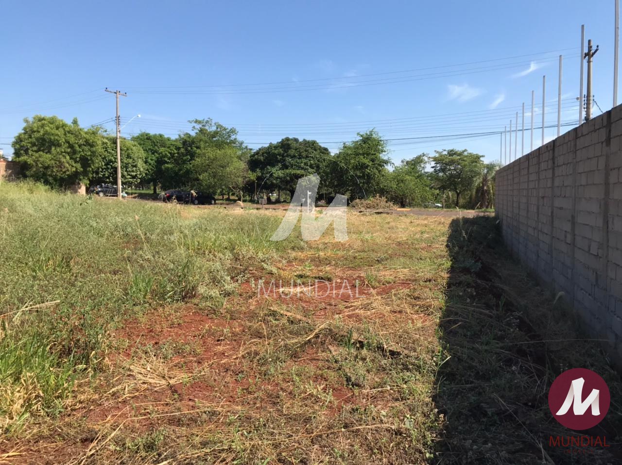 Terreno/Lote — foto 5