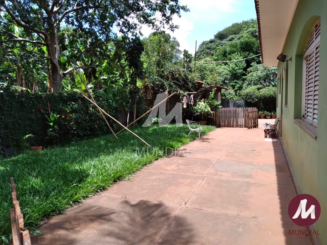 Quintal/corredores — foto 17