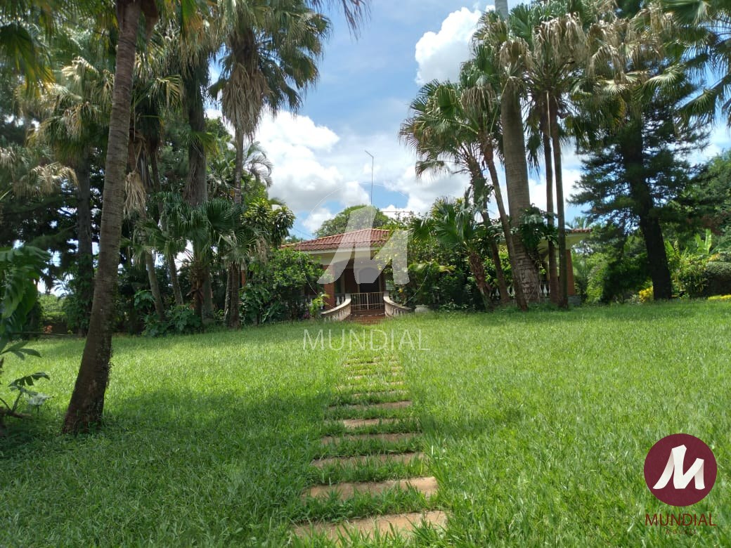 Jardim — foto 21