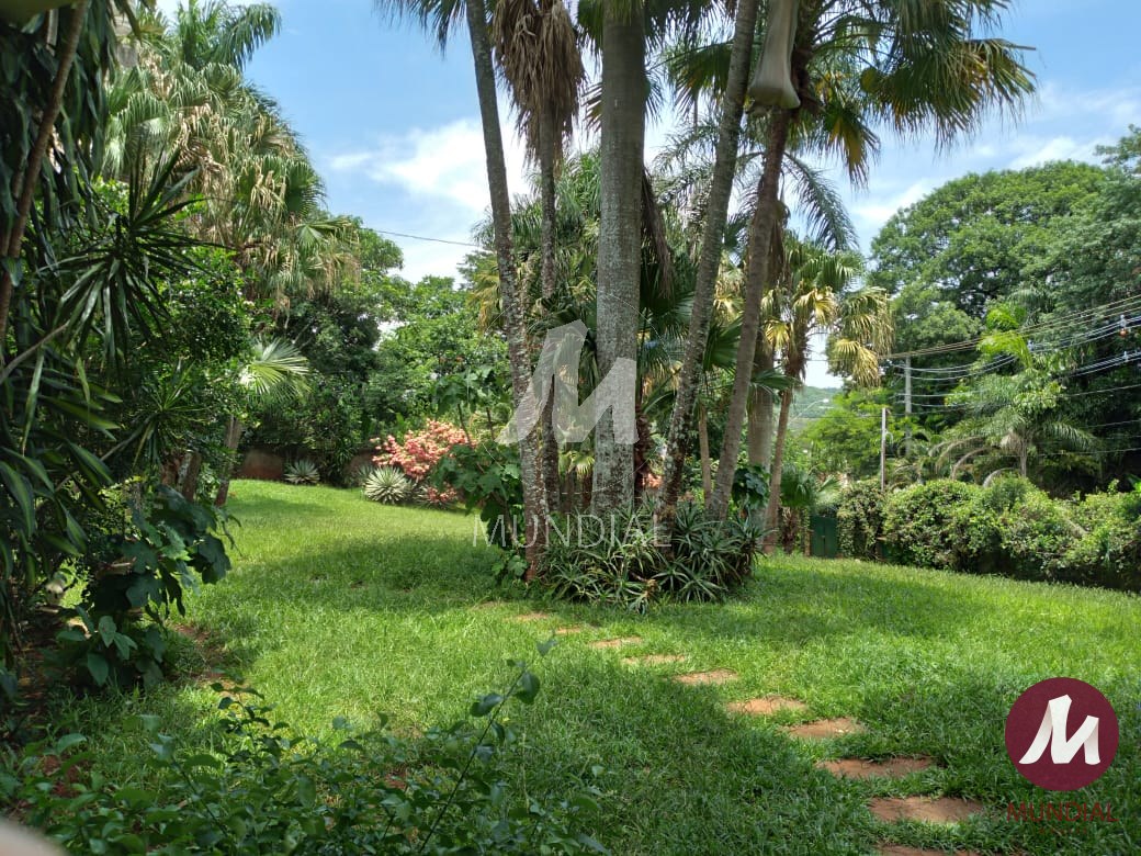 Jardim — foto 22