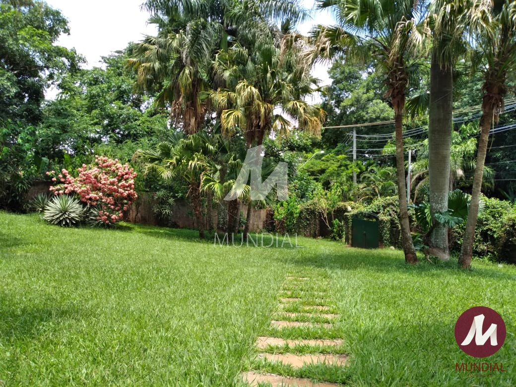 Jardim — foto 23