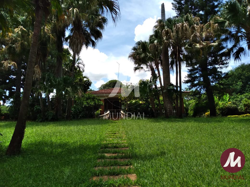 Jardim — foto 24