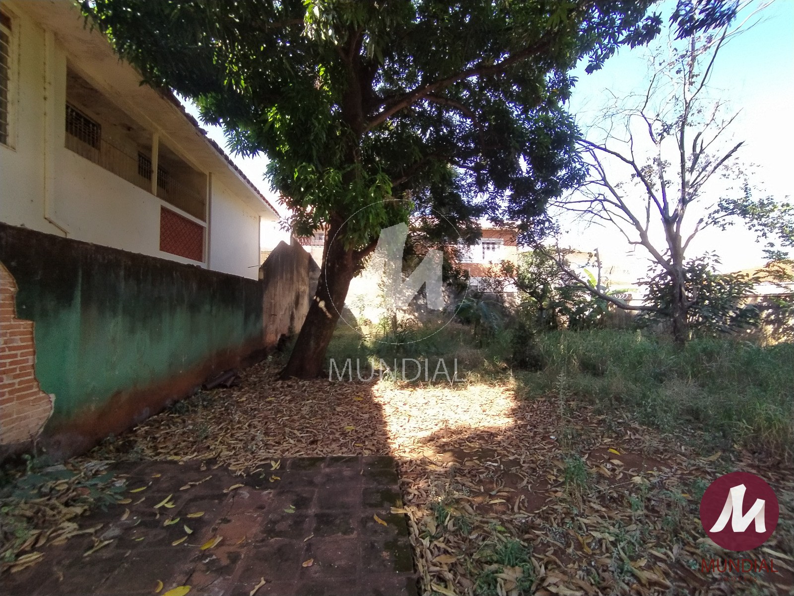 Terreno/Lote — foto 19