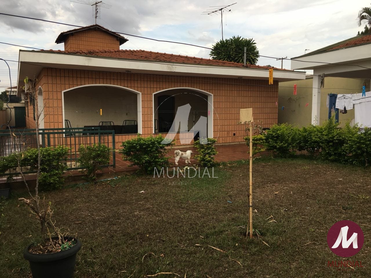 Outras — foto 2