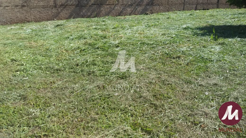 Terreno/Lote — foto 3