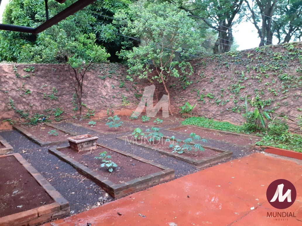Jardim — foto 20
