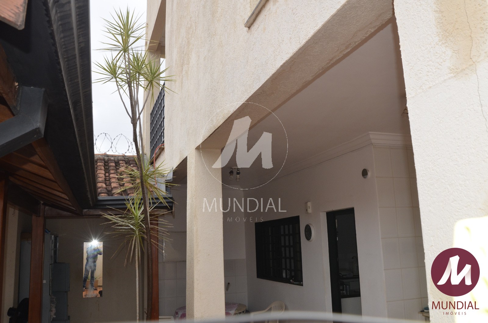 Quintal/corredores — foto 16