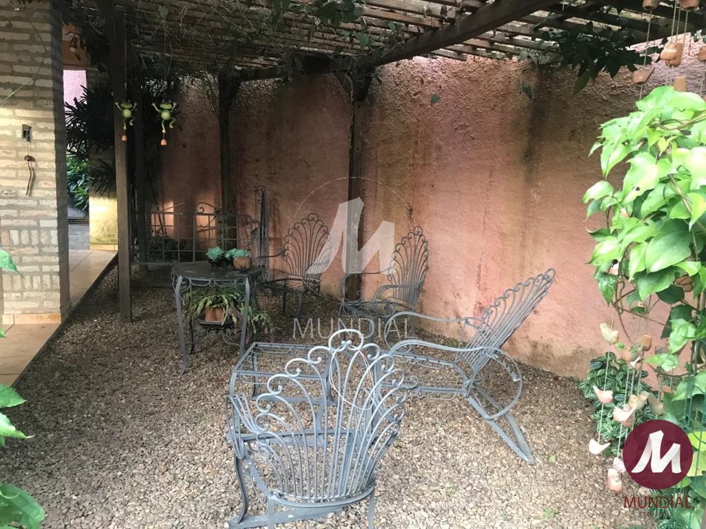 Quintal/corredores — foto 4