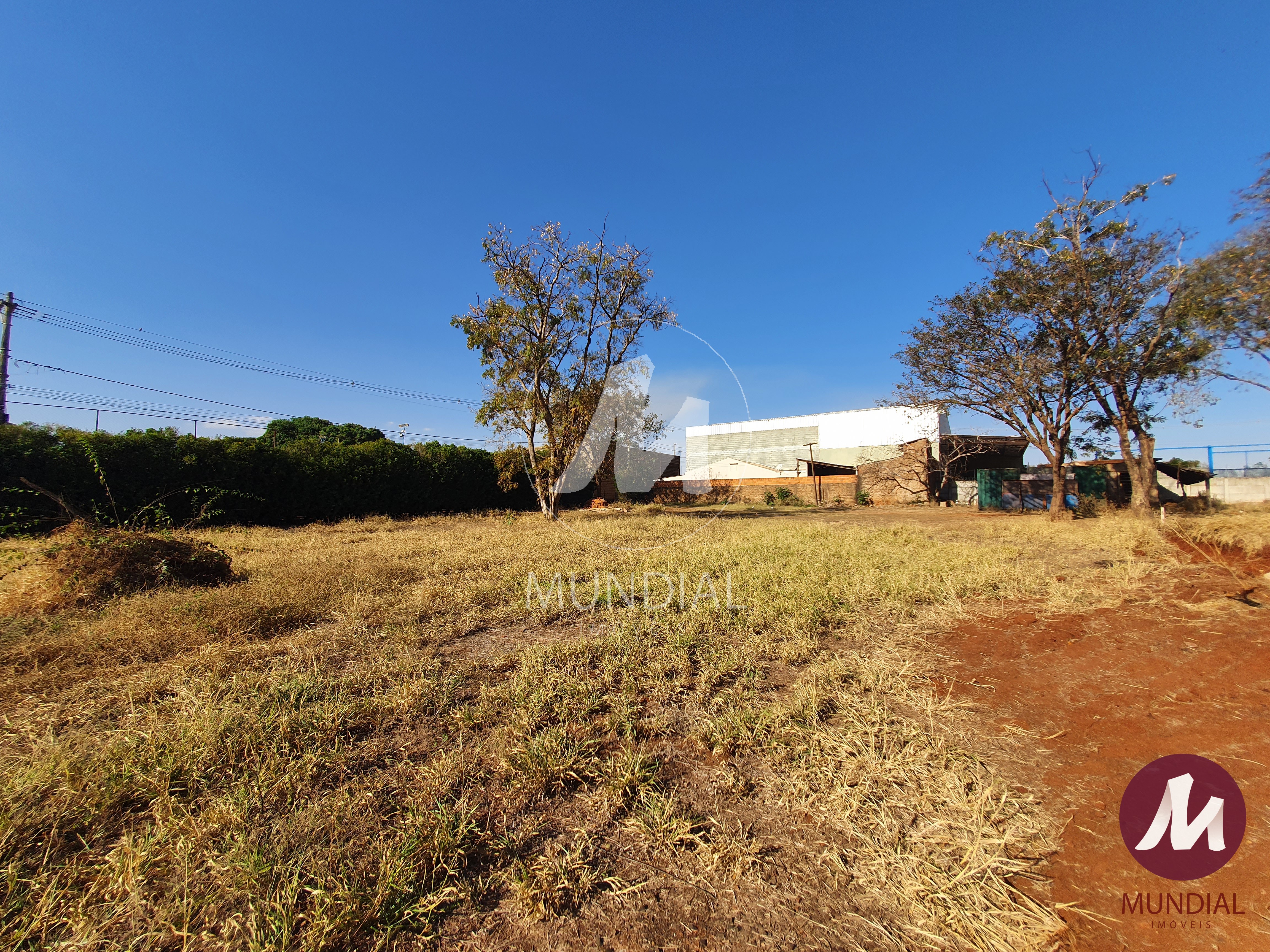 Terreno/Lote — foto 4