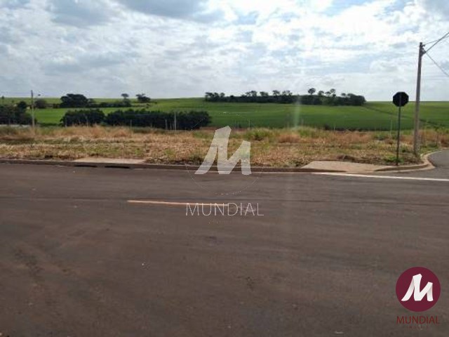 Terreno/Lote — foto 1