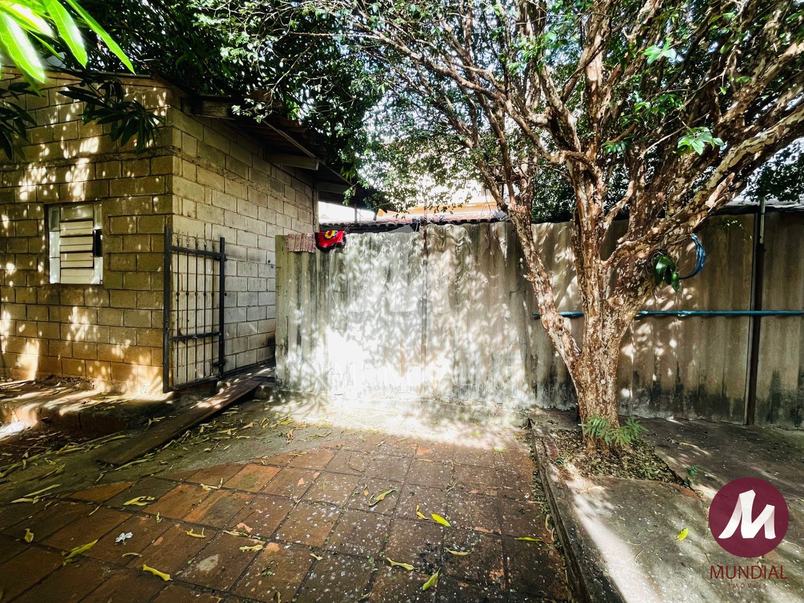 Edicula — foto 12