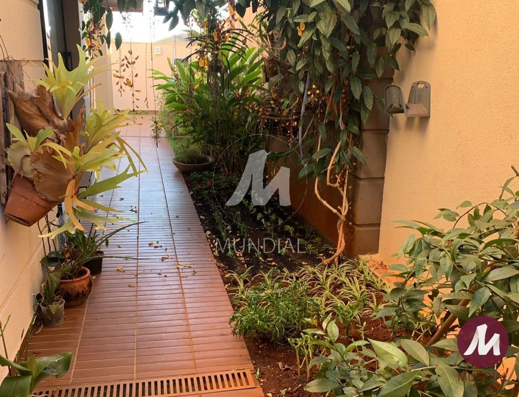 Quintal/corredores — foto 15