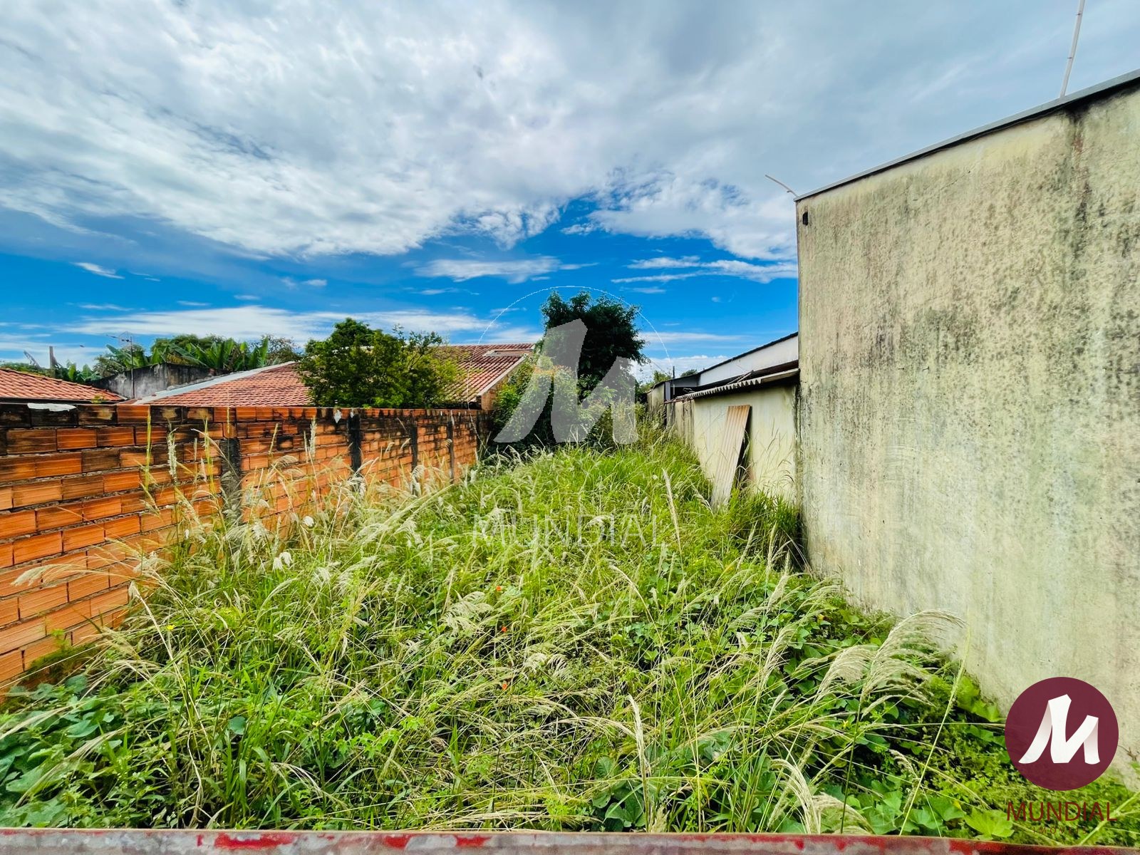 Terreno/Lote — foto 14