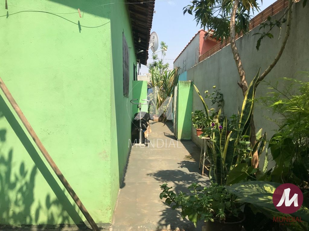 Quintal/corredores — foto 9