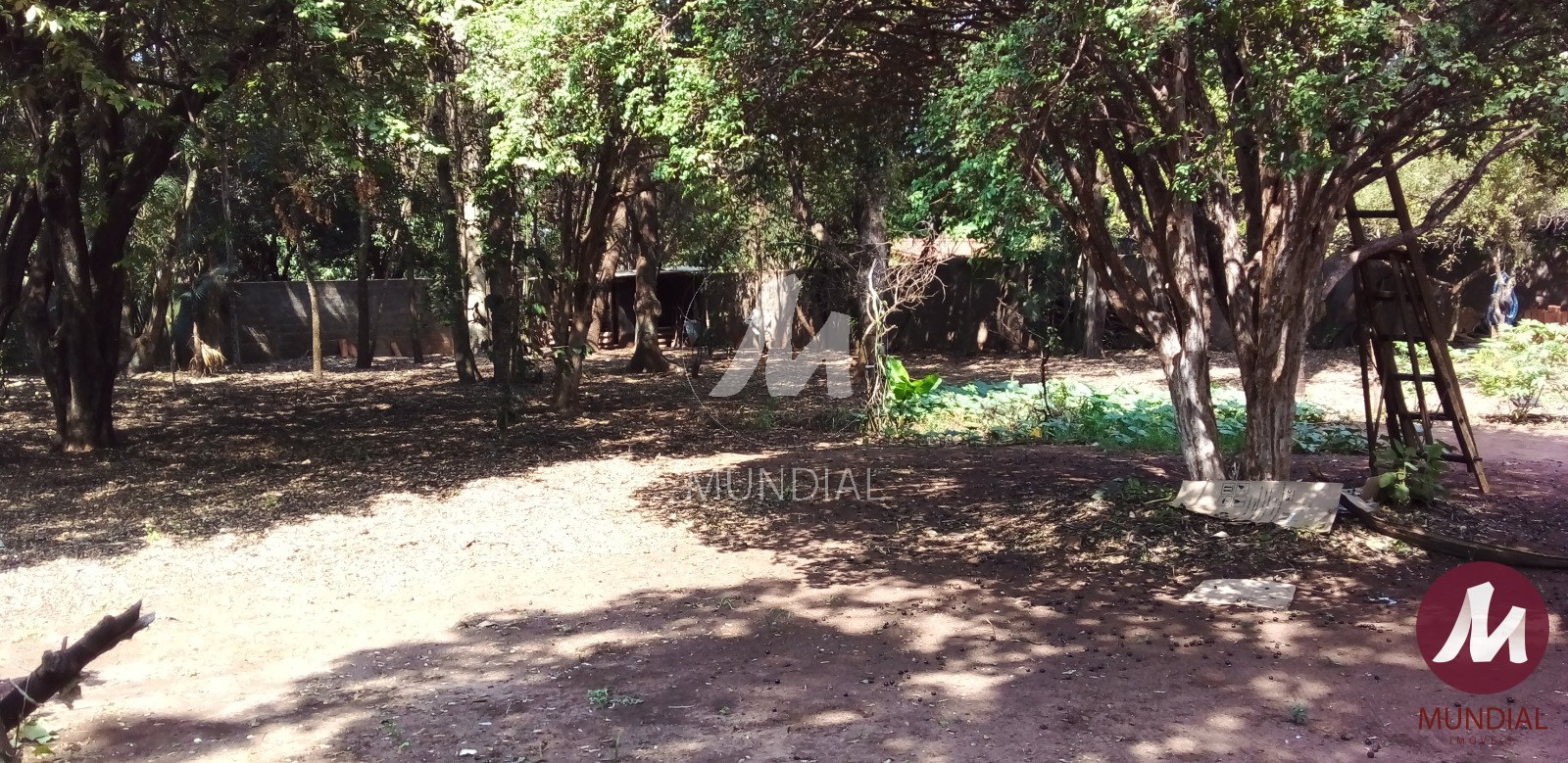 Quintal/corredores — foto 17