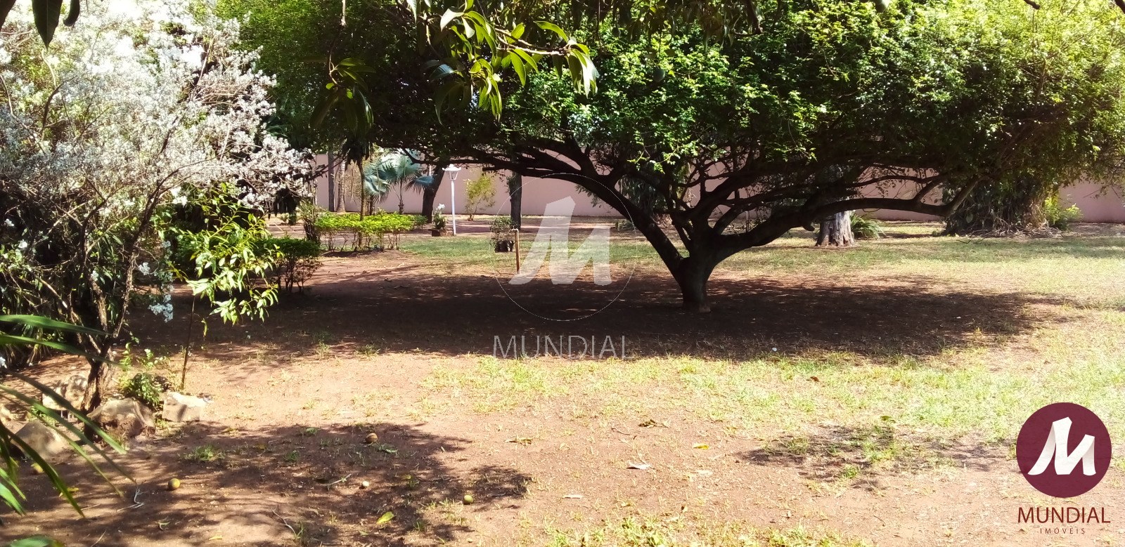 Quintal/corredores — foto 22