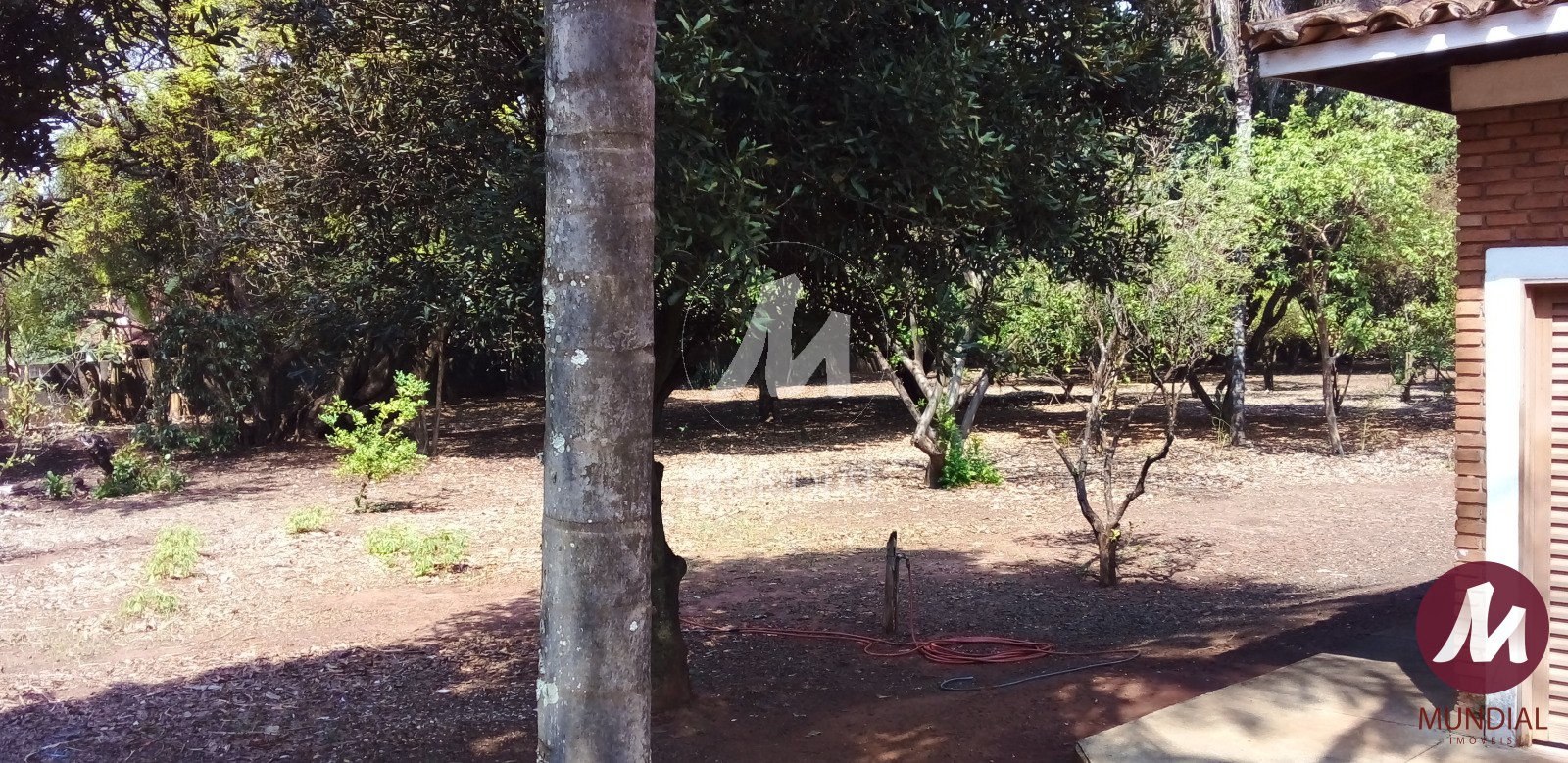 Quintal/corredores — foto 23