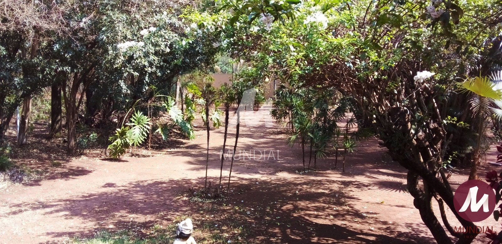 Quintal/corredores — foto 24