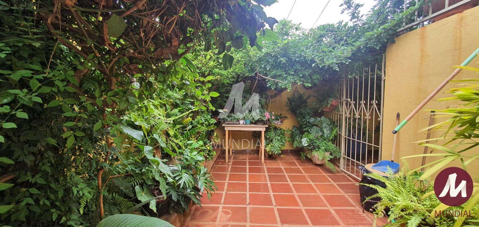 Quintal/corredores — foto 15
