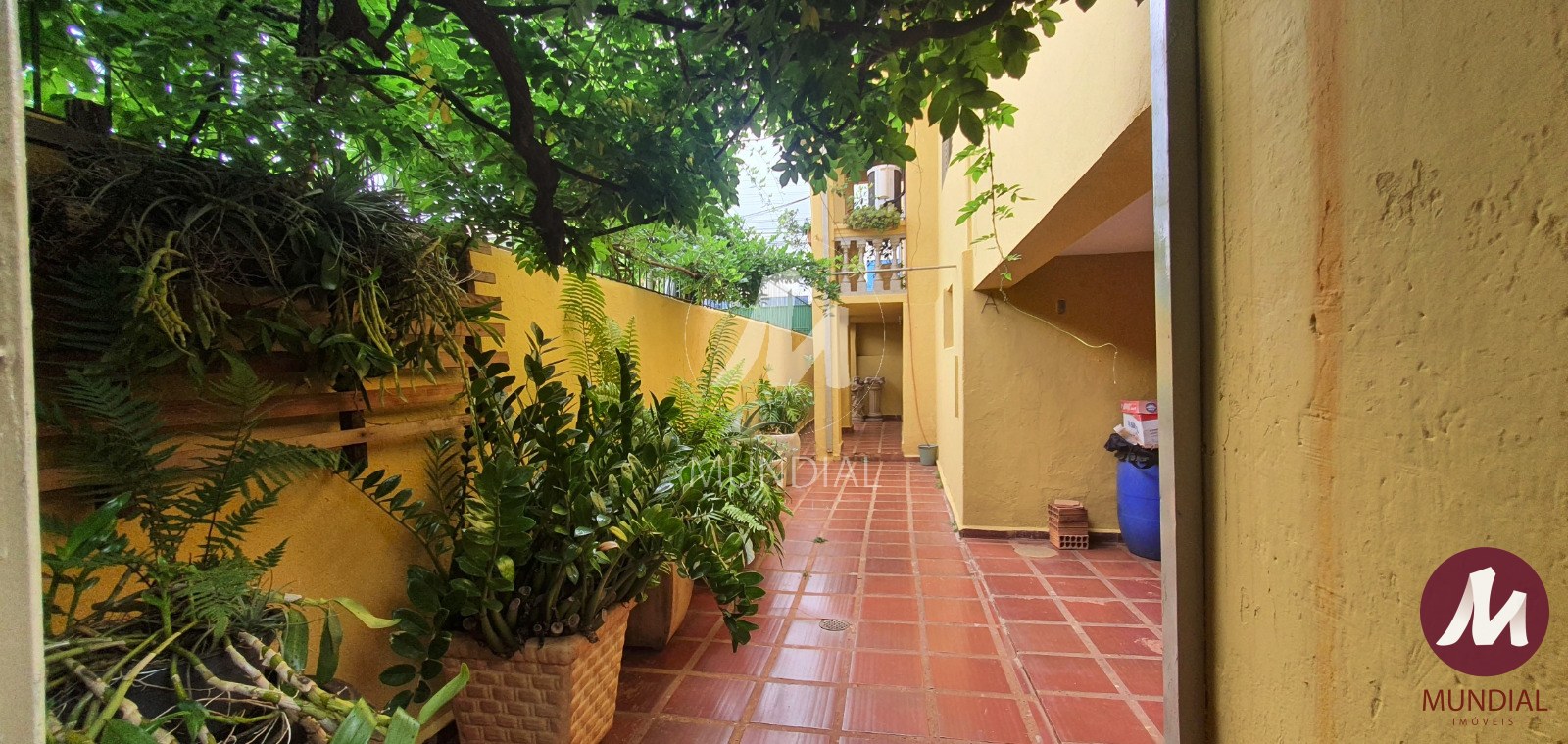 Quintal/corredores — foto 16