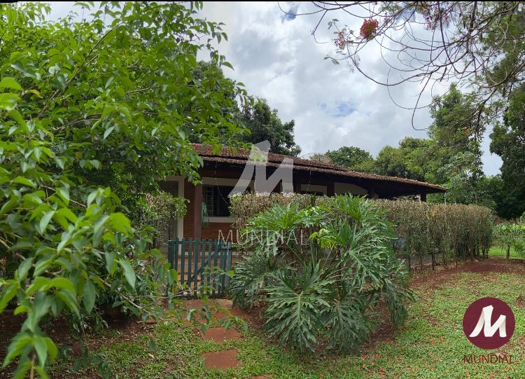 Quintal/corredores — foto 25