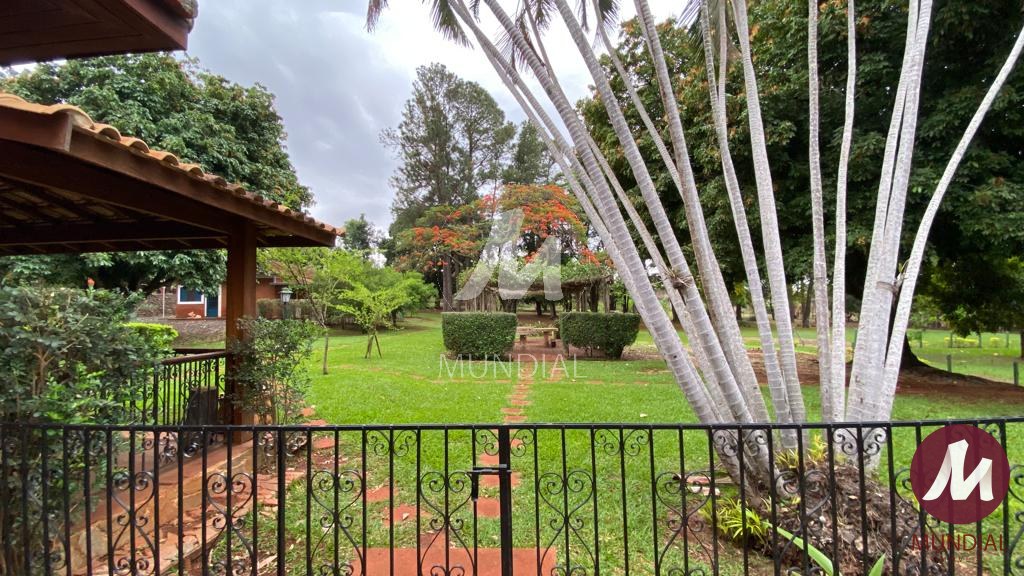 Jardim — foto 17