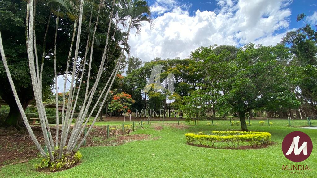 Jardim — foto 21