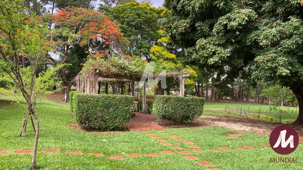 Jardim — foto 23