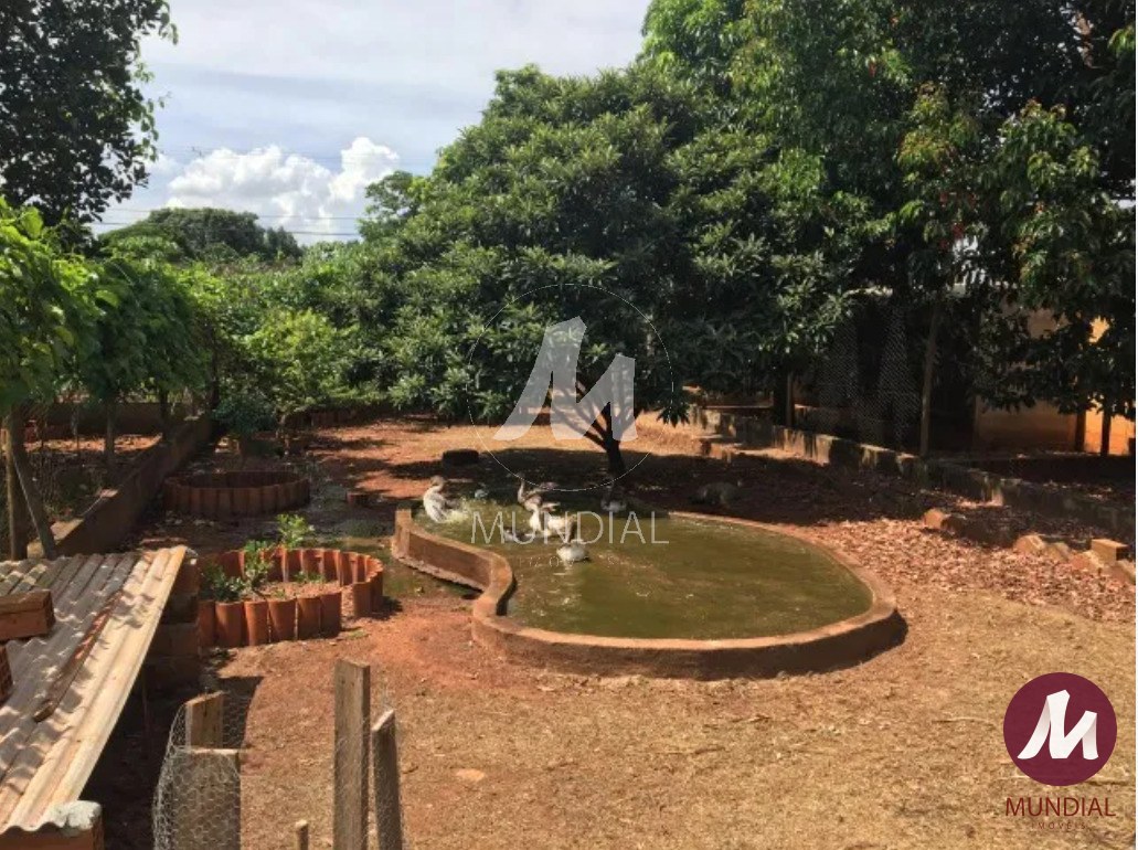 Quintal/corredores — foto 17