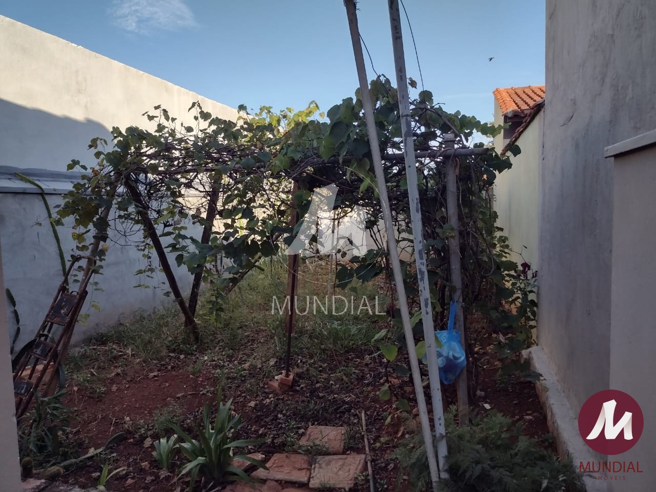 Quintal/corredores — foto 5