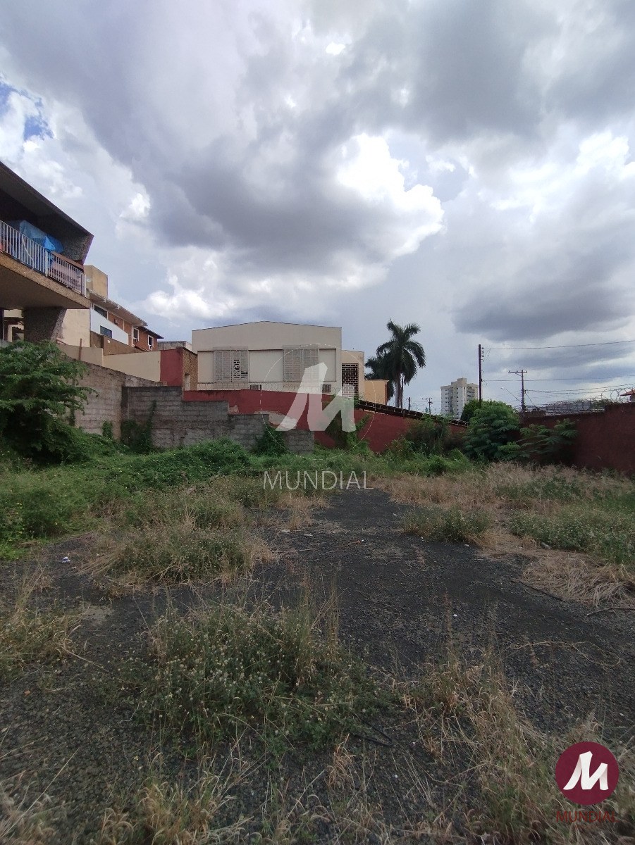 Terreno/Lote — foto 3