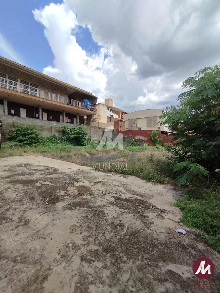 Terreno/Lote — foto 4