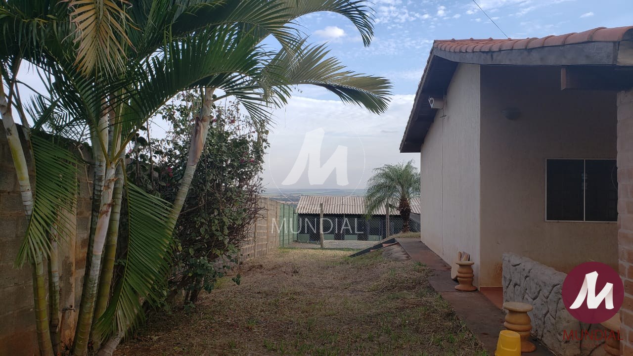 Quintal/corredores — foto 7
