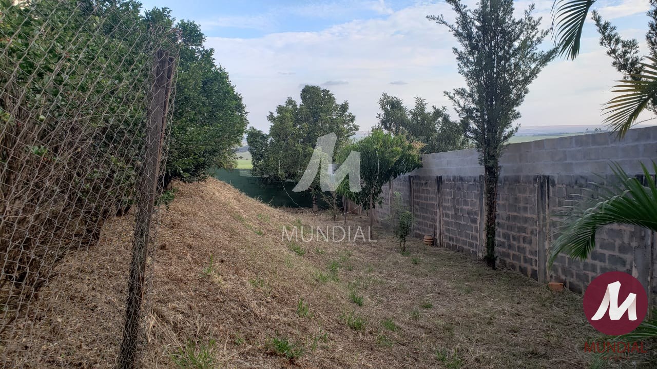 Quintal/corredores — foto 8