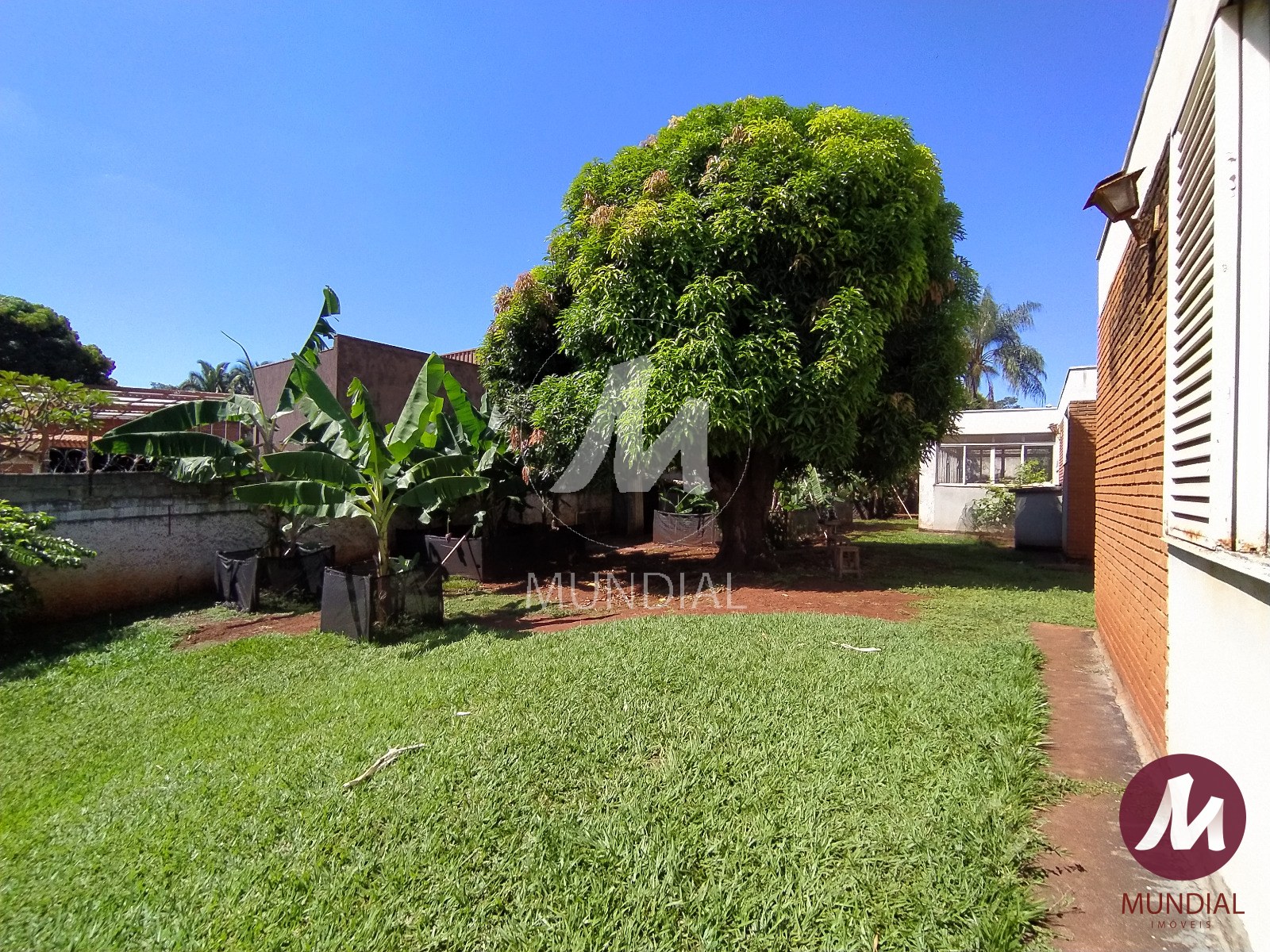 Jardim — foto 35
