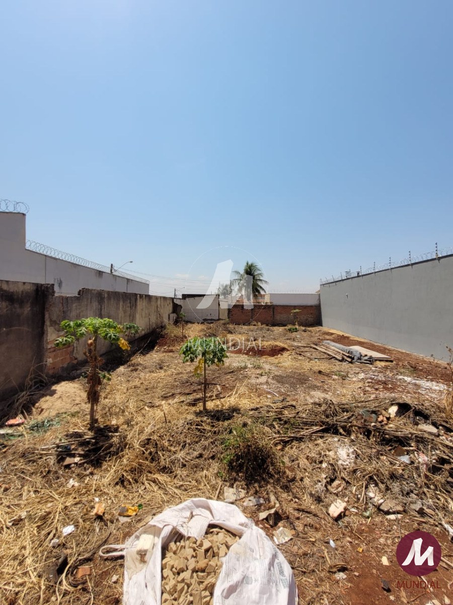 Terreno/Lote — foto 3