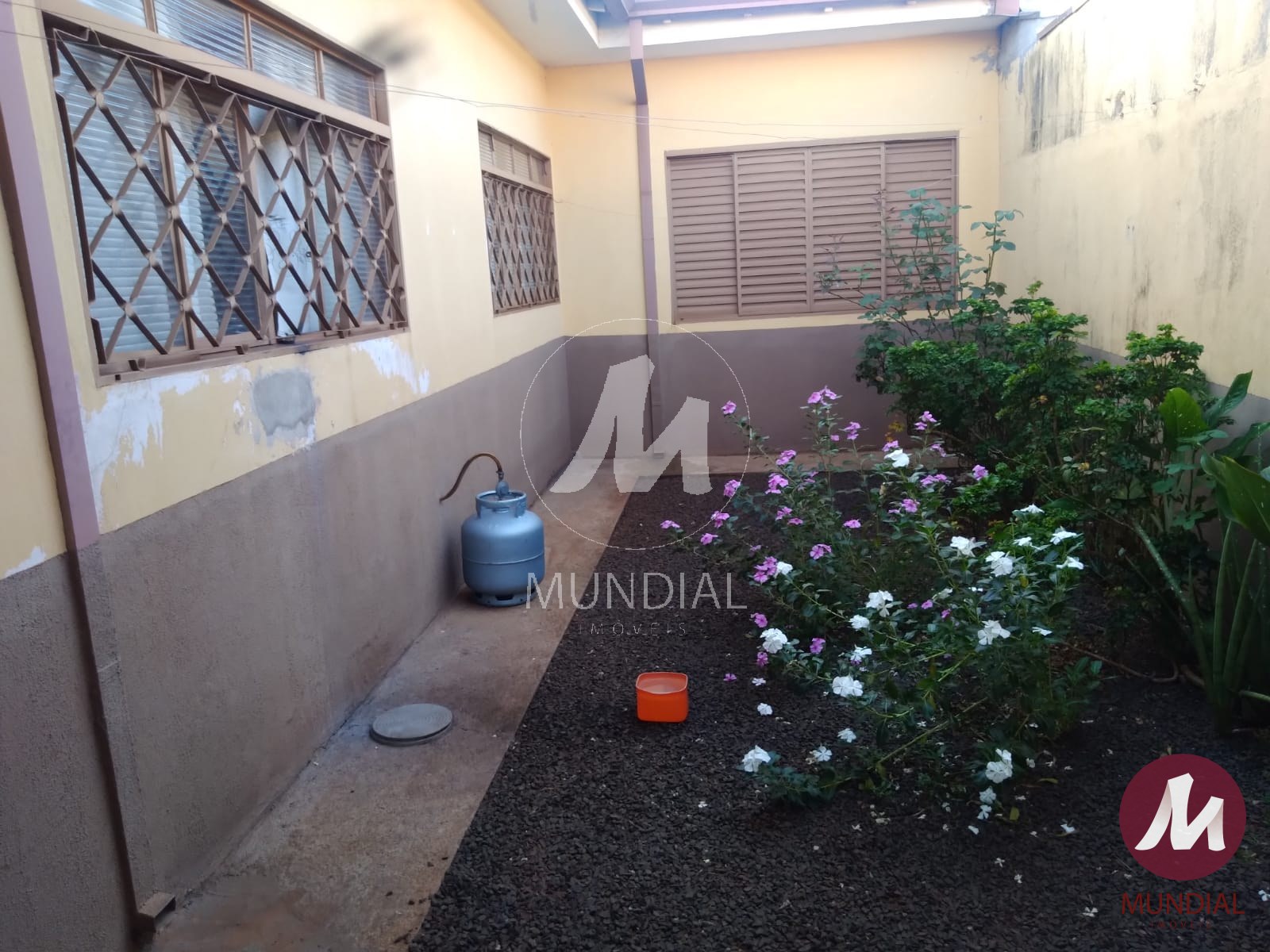 Quintal/corredores — foto 1
