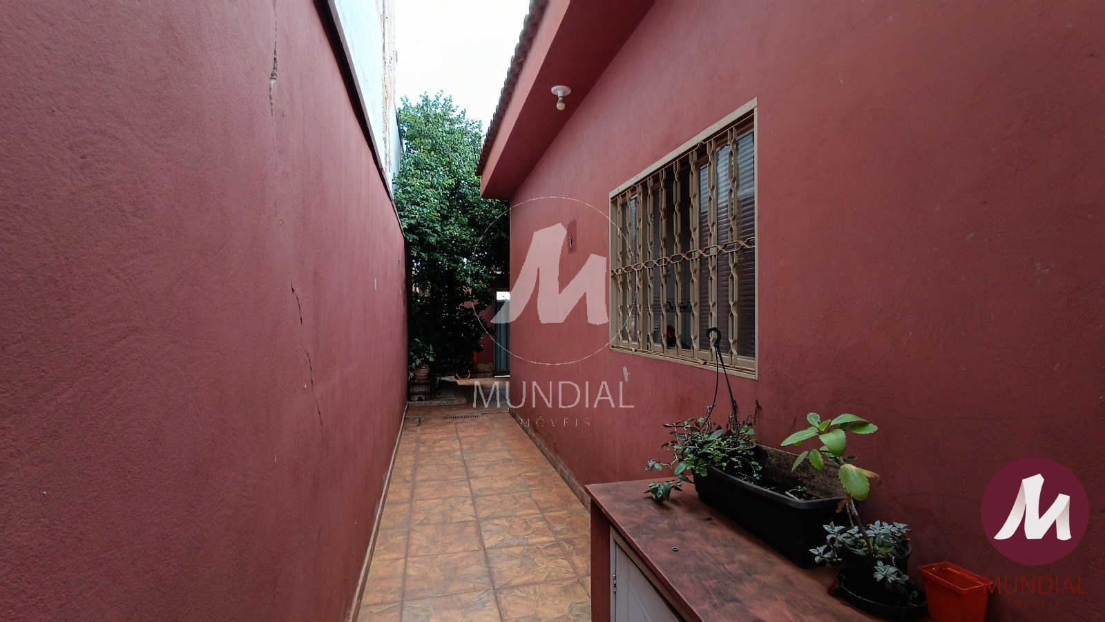 Quintal/corredores — foto 7