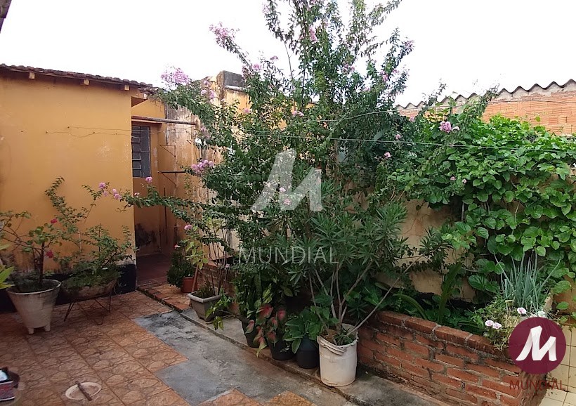 Quintal/corredores — foto 10