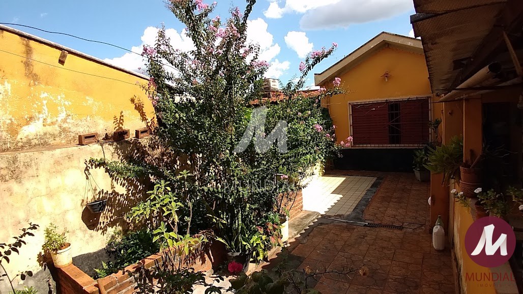 Quintal/corredores — foto 11