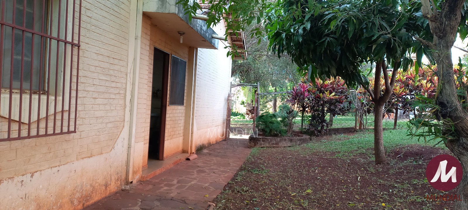 Quintal/corredores — foto 13