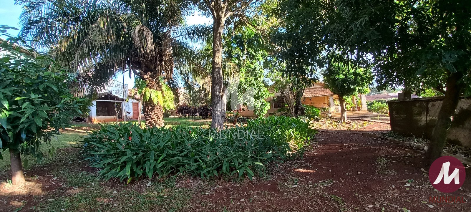 Quintal/corredores — foto 14