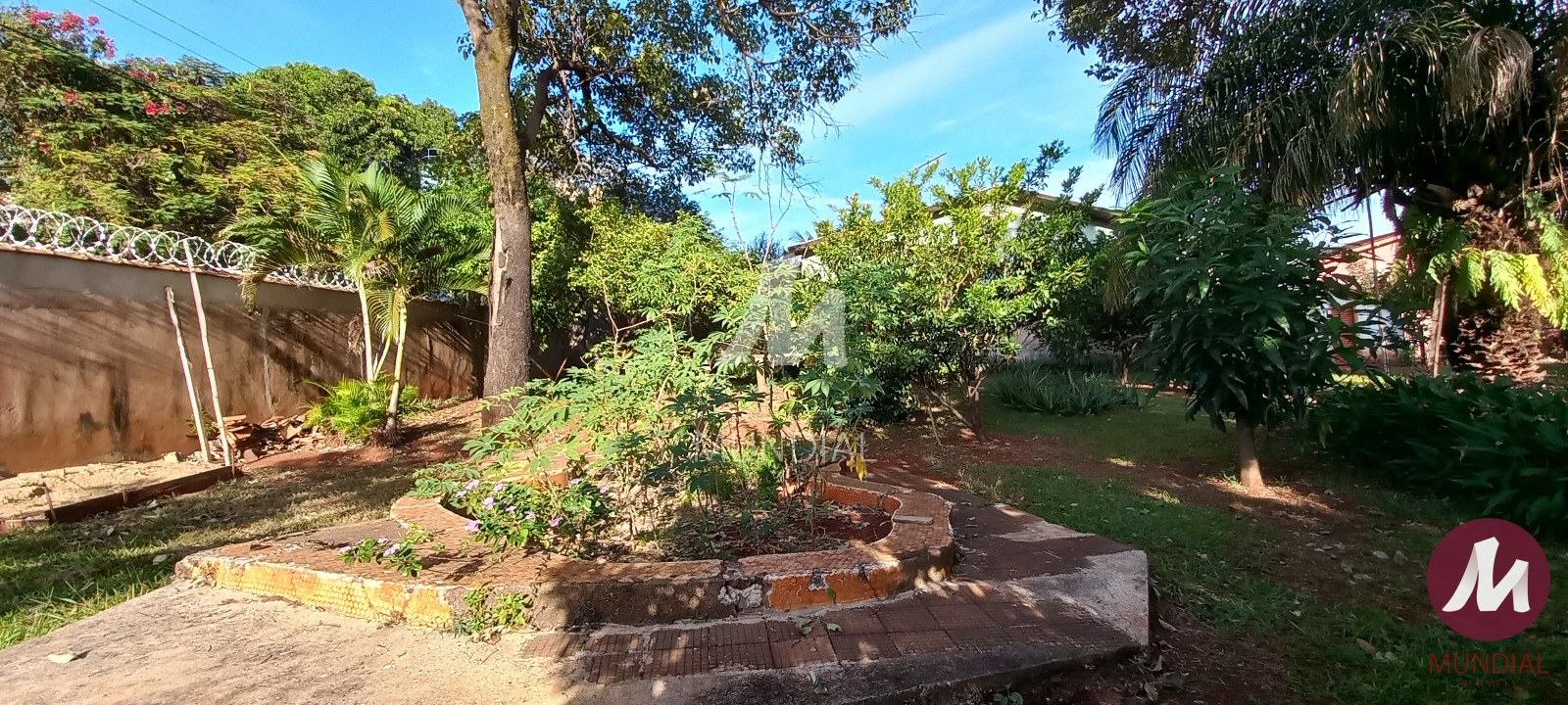 Quintal/corredores — foto 15