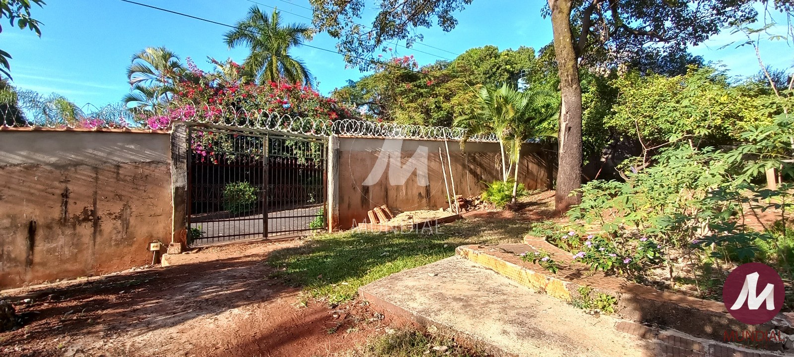 Quintal/corredores — foto 16