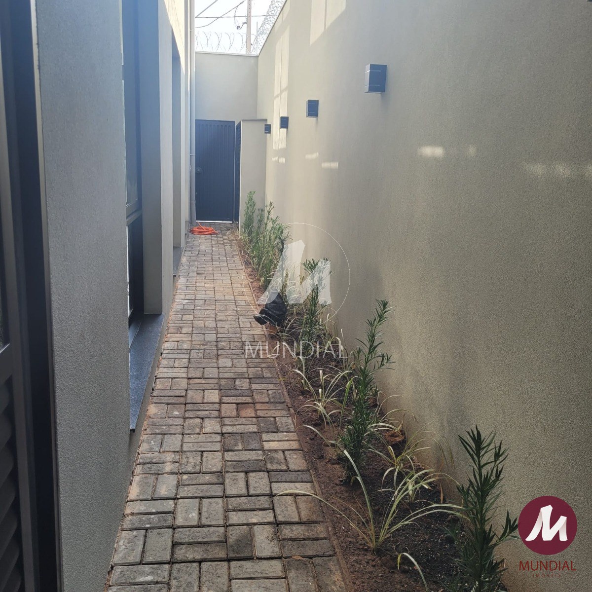 Quintal/corredores — foto 10