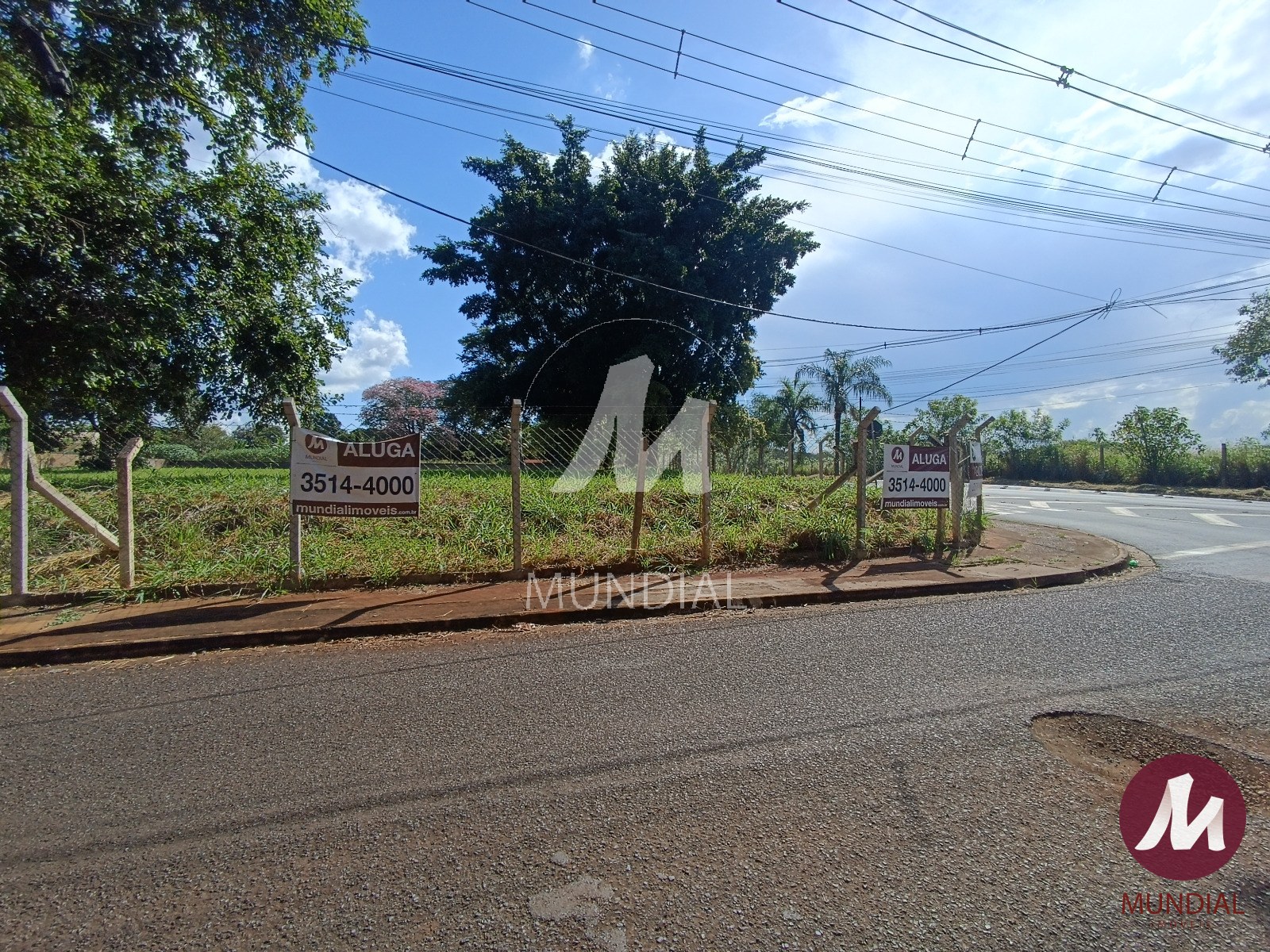 Terreno/Lote — foto 4
