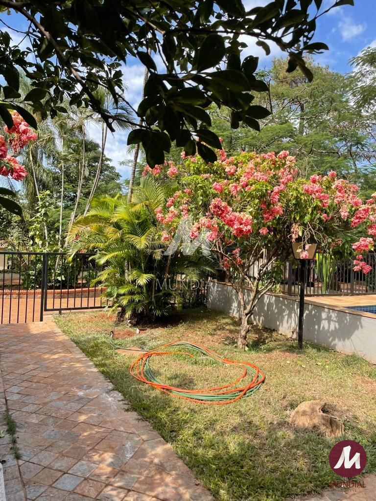 Outras — foto 21