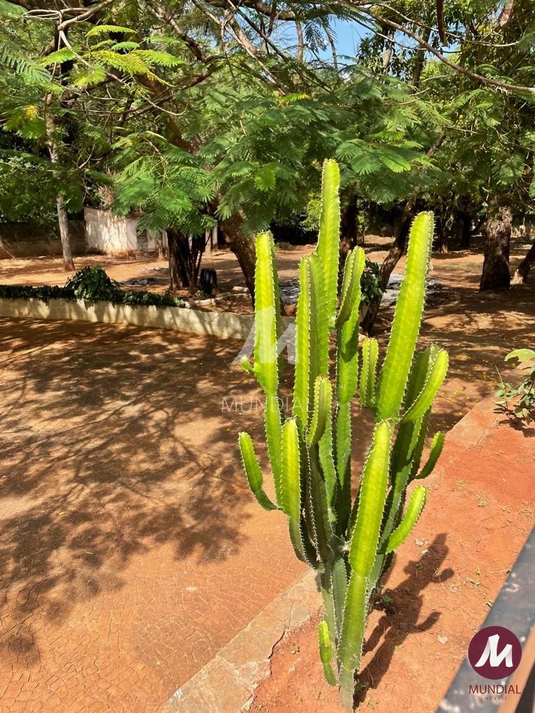 Outras — foto 25