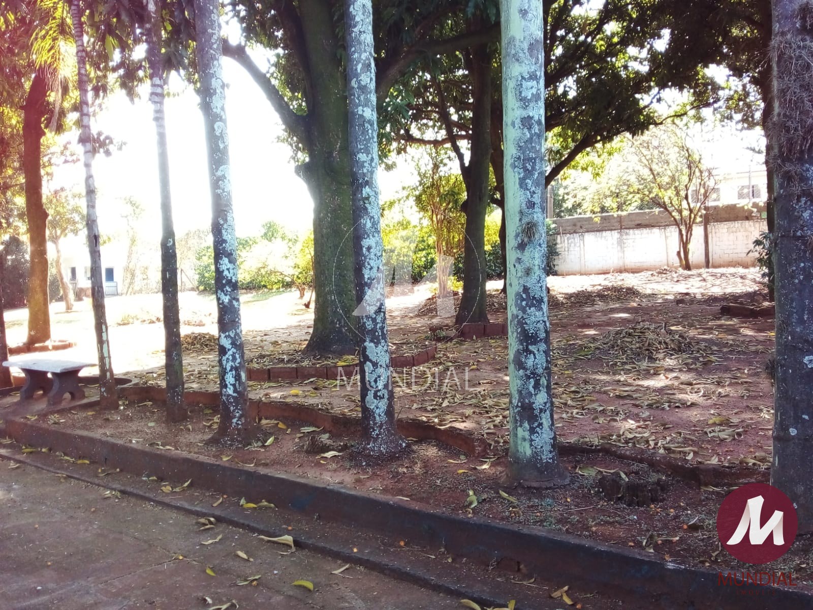 Quintal/corredores — foto 8